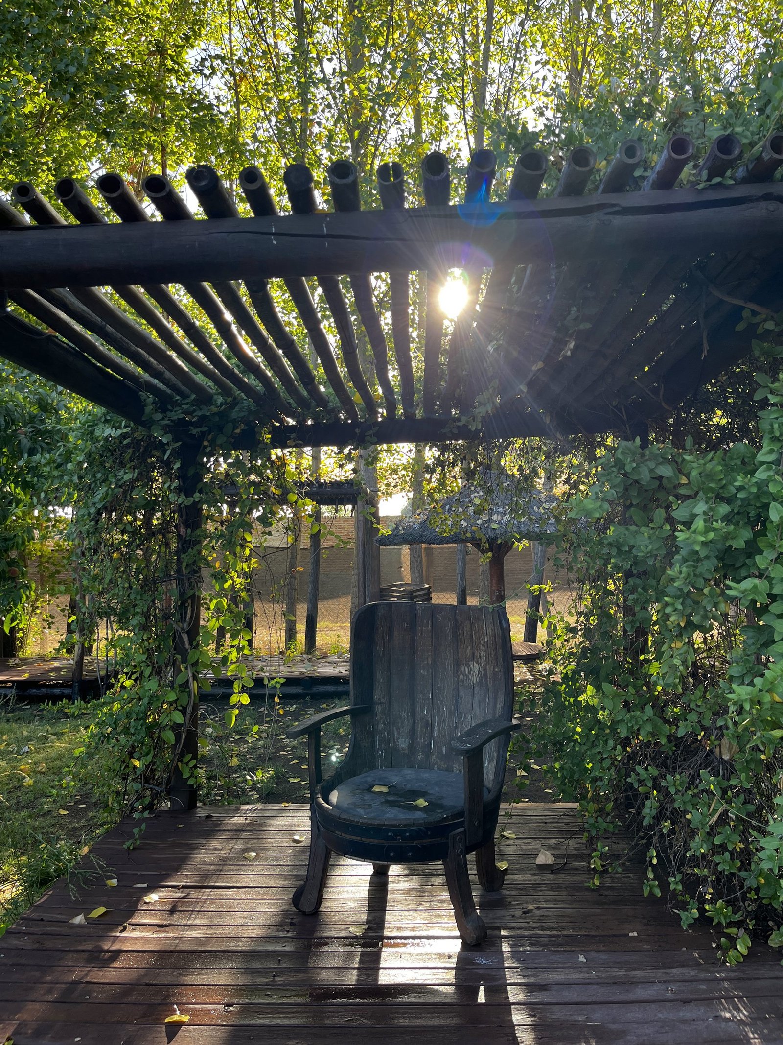 Pérgola iluminada al anochecer en Rocas Vivas