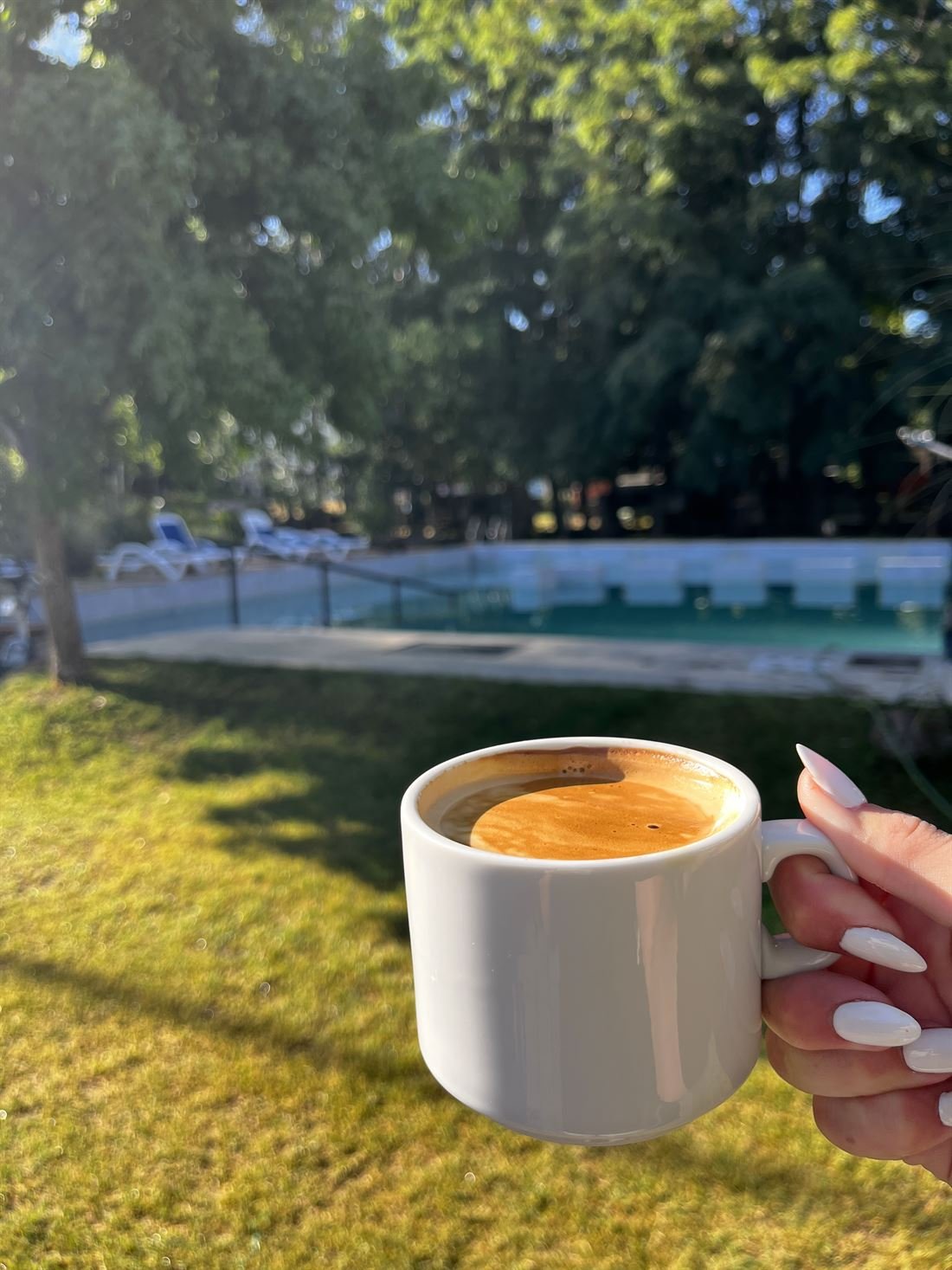 Café y desayuno