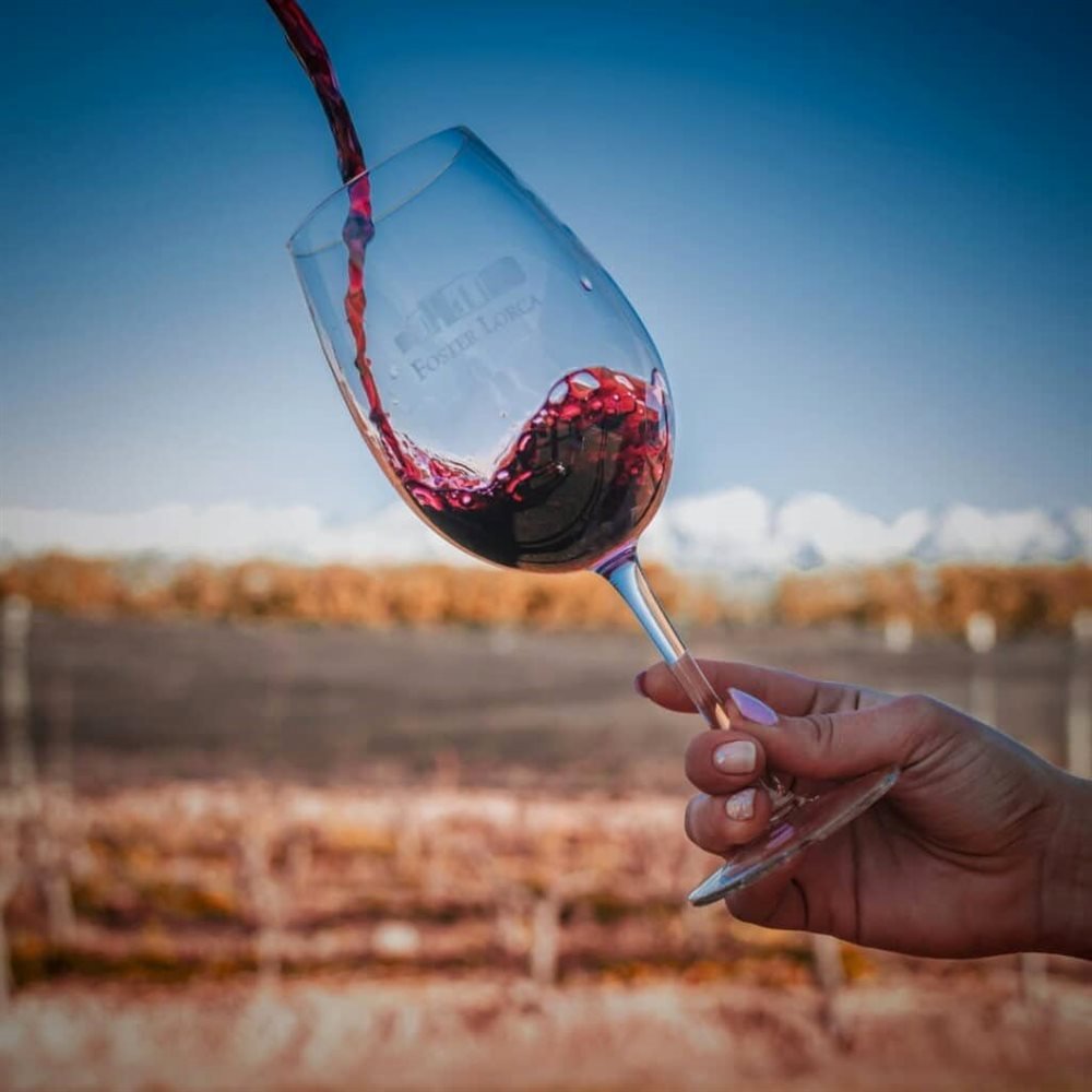 Copa de vino tinto del Valle de Uco